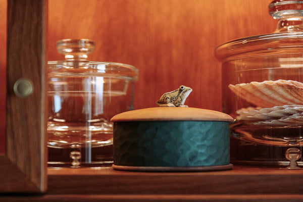 Wildlife Garden Box - Frog