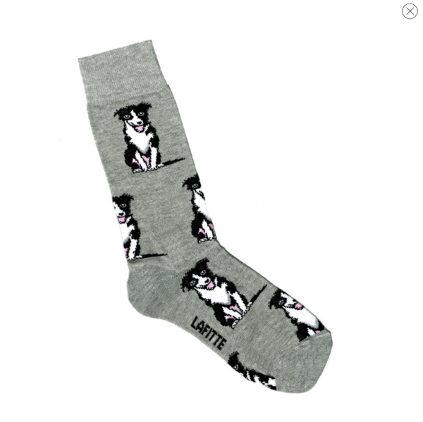 Lafitte Socks - Border Collie