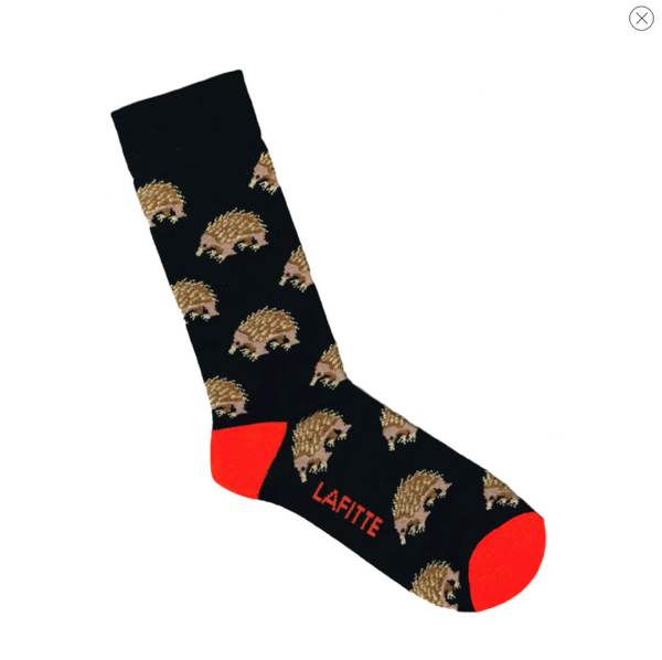 Lafitte Socks - Echidna
