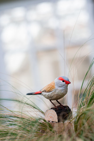 Wildlife Garden DecoBird - Red-Browed Finch