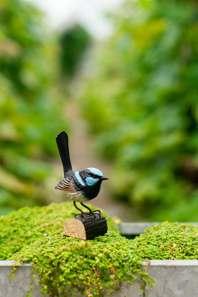 Wildlife Garden DecoBird - Superb Fairy Wren