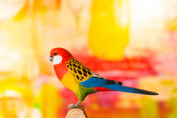 Wildlife Garden DecoBird - Eastern Rosella