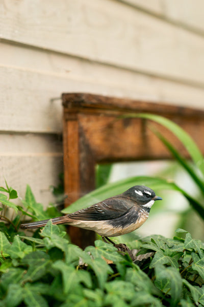 Wildlife Garden DecoBird - Grey Fantail
