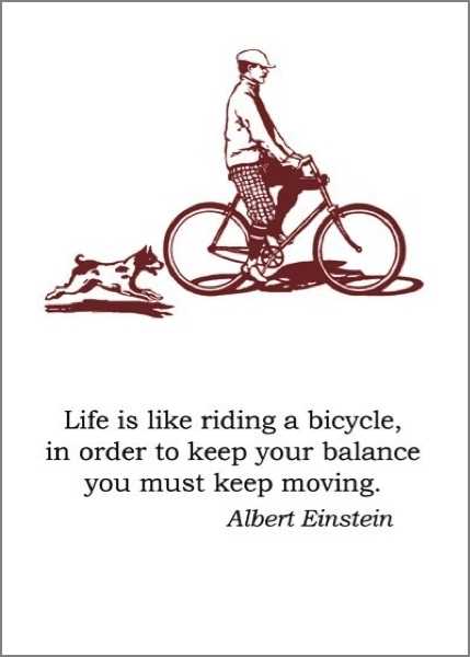 Card - Archivist Bicycle