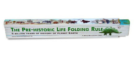 MeterMorphosen Ruler