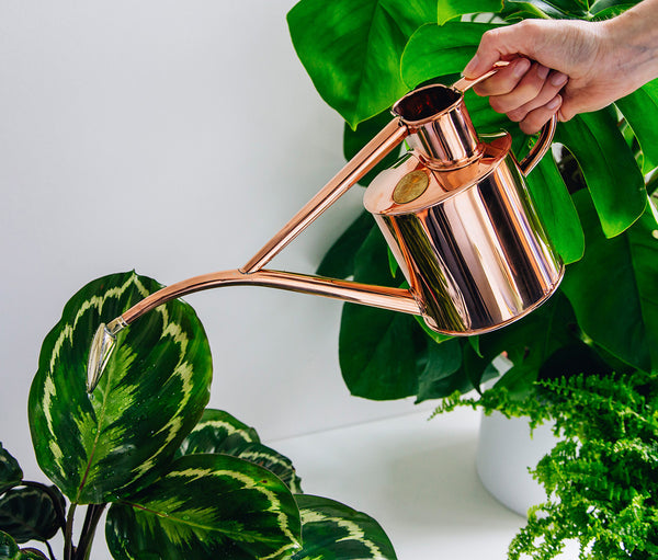 Haws Watering Can 1 Litre Copper