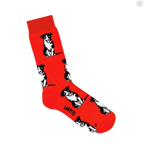 Lafitte Socks - Border Collie