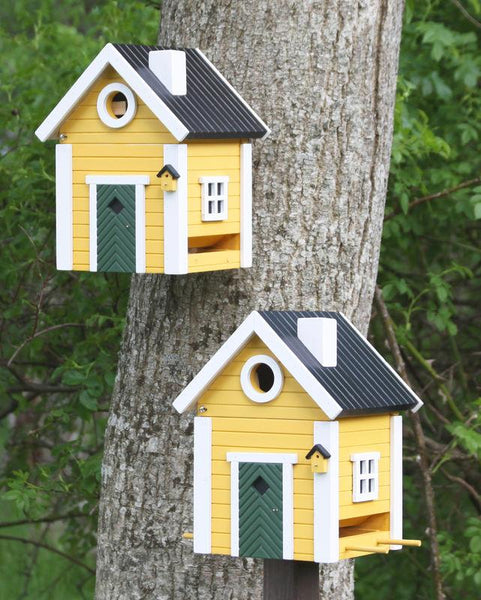 Wildlife Garden - Multiholk Yellow Cottage