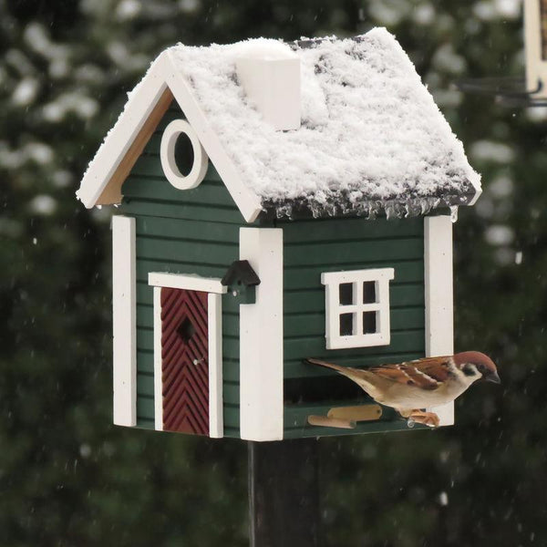 Wildlife Garden - Multiholk Green Cottage