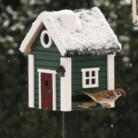 Wildlife Garden - Multiholk Green Cottage