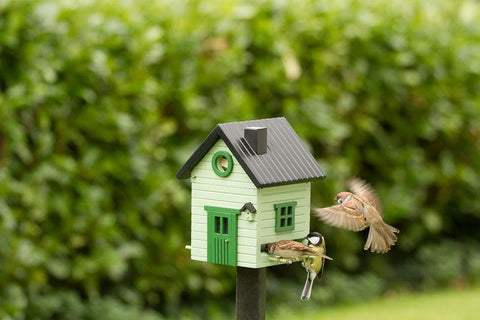 Wildlife Garden - Multiholk Pale Green Cottage